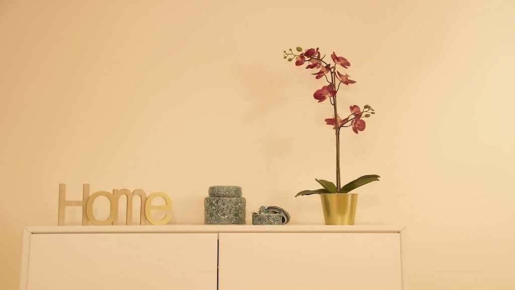 Apartamento Con Jardin Y Piscina B ปูแอร์โตเดลาครูซ ภายนอก รูปภาพ