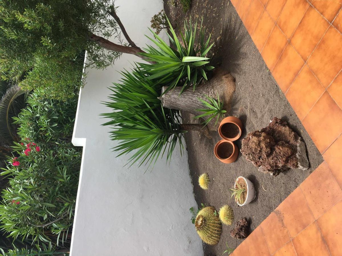 Apartamento Con Jardin Y Piscina B ปูแอร์โตเดลาครูซ ภายนอก รูปภาพ